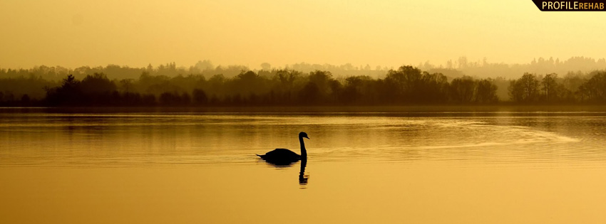 Gold Lake with Swan Facebook Cover