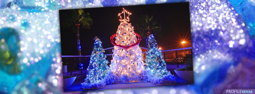 Pretty Christmas Trees Images for Facebook Timeline