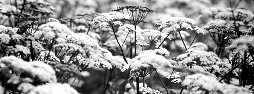 facebook cover photos black and white vintage
