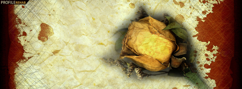 Grunge Yellow Rose Facebook Cover