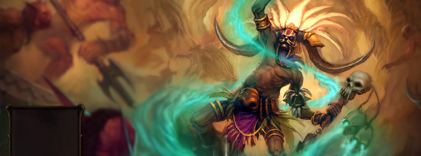Diablo 3 Witch Doctor Facebook Cover