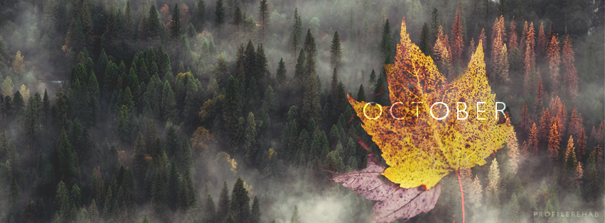 October Leaves Facebook Cover - October Fall Leaves Images -
 October Event Day 2