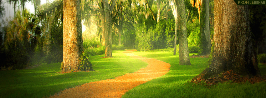 Scenic Forest Path Facebook Cover for Timeline