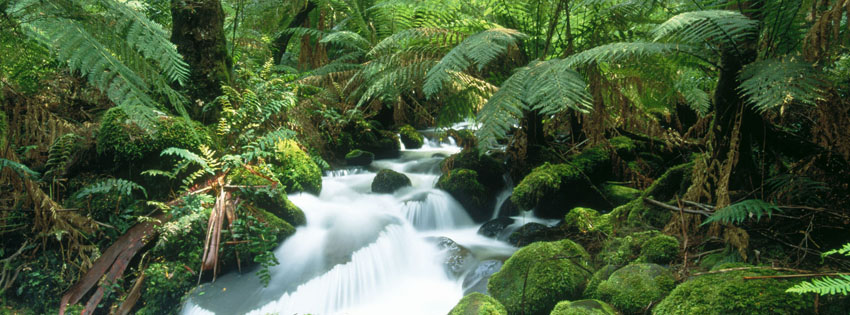 Waterfall in Forest Facebook Cover