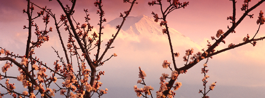 Japan Scenery Facebook Cover Preview