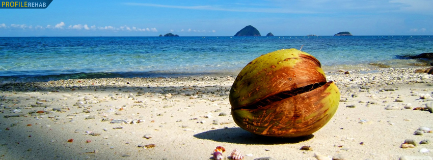 Pulau Ocean Timeline Cover with Coconut