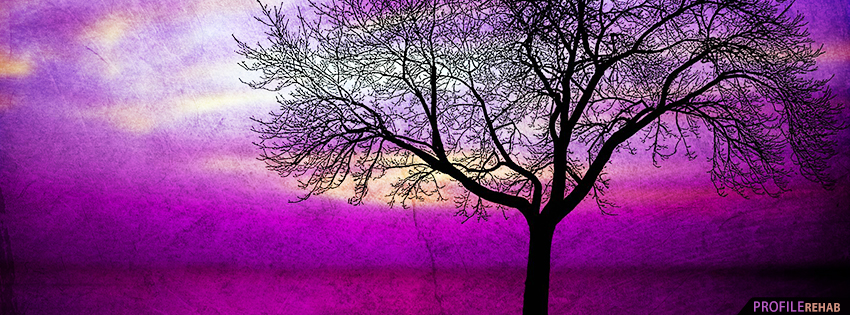Purple Tree and Sky Facebook Cover