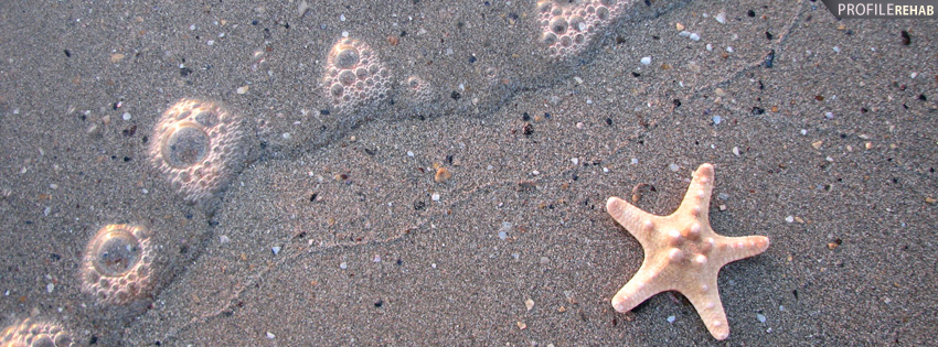 Star Fish in Sand Facebook Cover