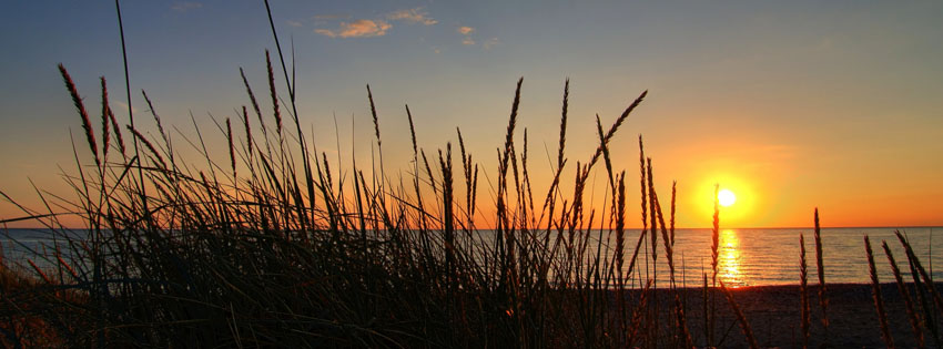 Sunset through Reeds Facebook Cover