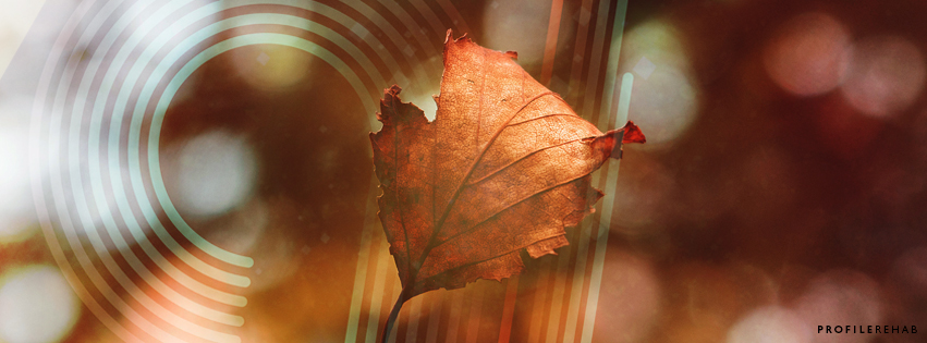 Autumn Leaves Image for Facebook Cover - October Event Day 16