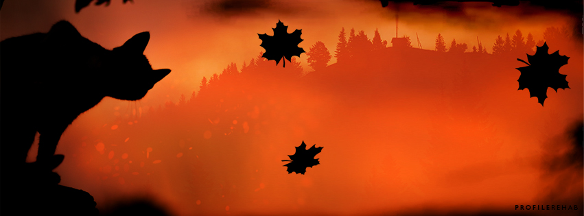 Halloween Black Cat Chasing Autumn Leaves Image for Facebook -
October Event Day 17 Preview