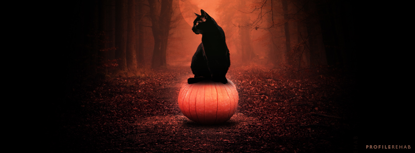 Black Cat Pumpkin Images for Facebook Cover - Halloween Black Cat on Pumpkin -
 Oct Event Day 18  Preview