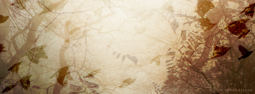 Fall Leaves Cover Photos for Facebook - Fall Birds Photo for Facebook Covers - October Event Day 20 Preview