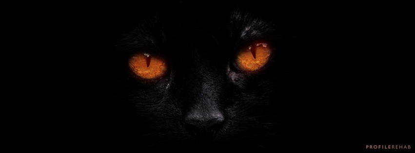 Black Cat Halloween Images for Facebook Covers - Halloween Black Cat Images -
 October Event Day 21