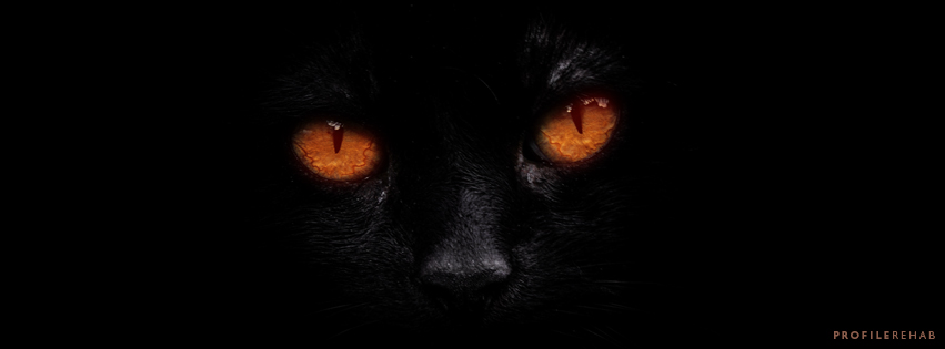 Black Cat Halloween Images for Facebook Covers - Halloween Black Cat Images -
October Event Day 21 Preview