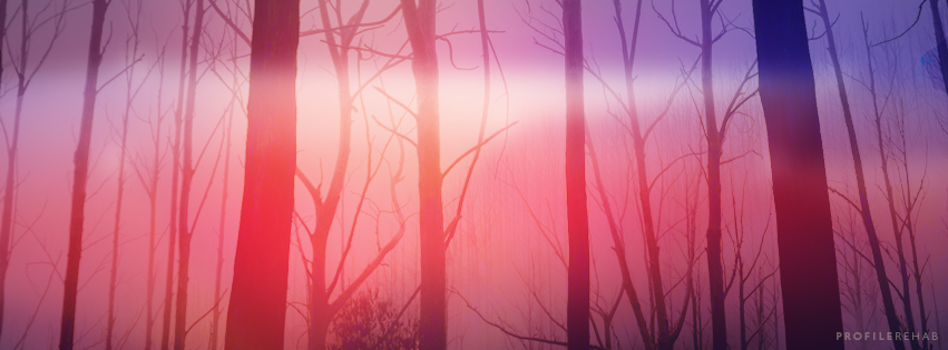 Creepy Forest Covers - Halloween Creepy Forest Images -
October Event Day 26 Preview