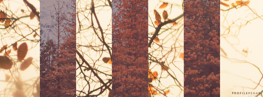 Autumn Leaves Cover Photo for Facebook Timeline - October Event Day 15