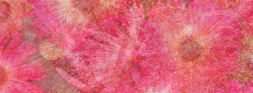 Hot Pink Daisies Facebook Cover