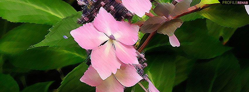 Painted Pink Flower Facebook Cover