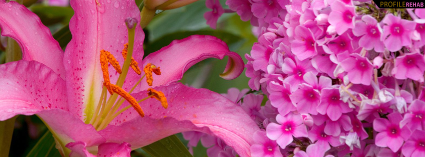 Pink and Green Flower Facebook Cover