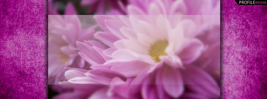 Purple & Pink Flower Cover for Facebook Timeline
