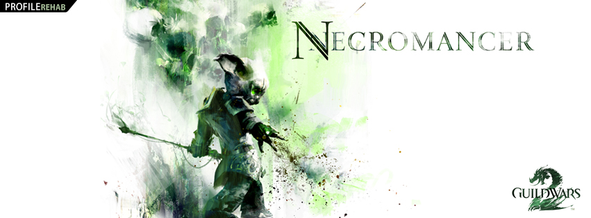 Guild Wars 2 Necromancer Facebook Cover