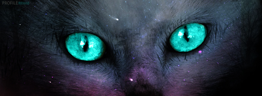 Cat Eyes Facebook Cover - Halloween Cat Pictures -Halloween Cat Images