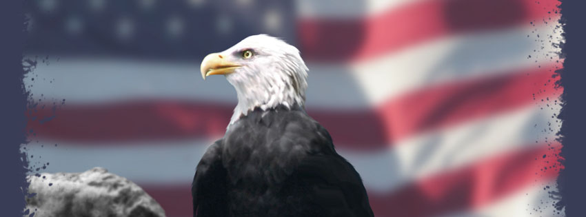 Patriotic Bald Eagle Facebook Cover