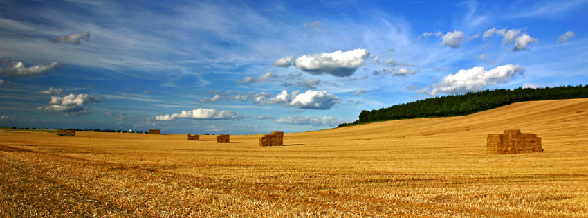 Bourgogne France Field Facebook Cover