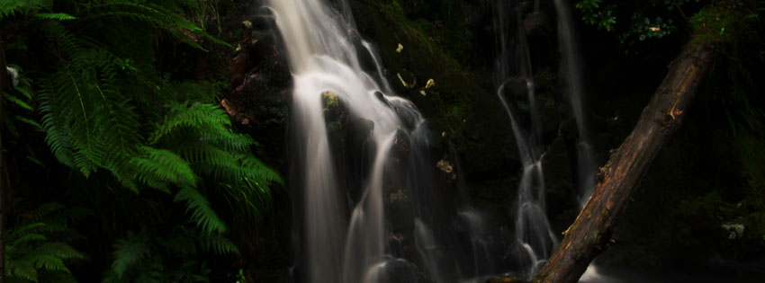 Green Forest Waterfall Facebook Cover