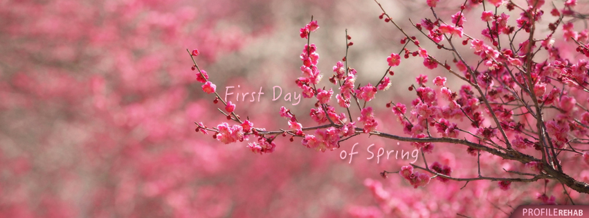happy spring facebook covers