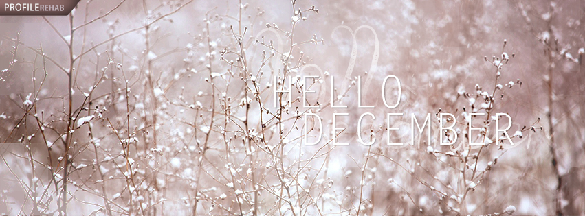 Free Winter Facebook Covers For Timeline Beautiful Winter Season Timeline Covers For Facebook