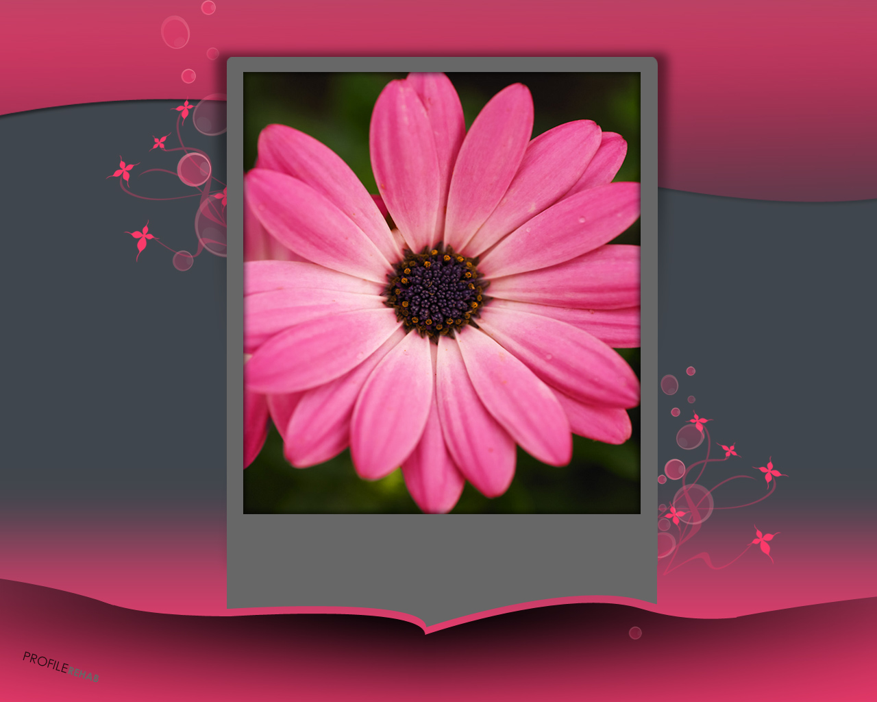 [1280x1024] Gray & Pink Flower Wallpaper - Pink & Grey Background